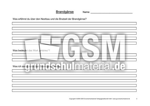 Arbeitsblatt-Brandgänse-3.pdf